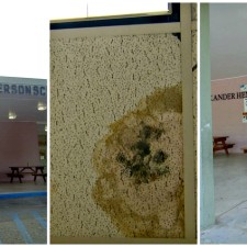 Mold Problem Persisted At Henderson School For Years, Parents Say