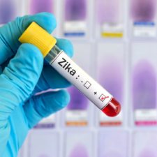 Zika Virus Infection Rate Losing Steam In USVI